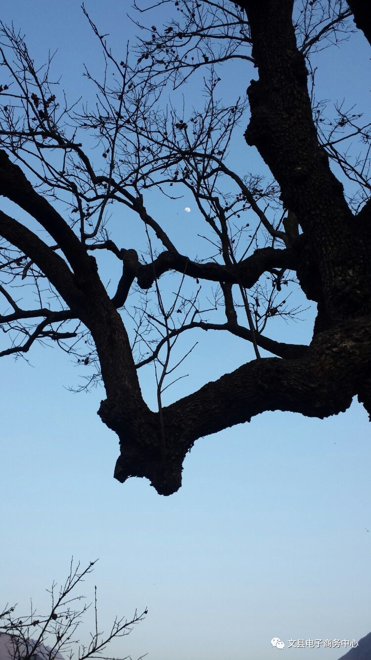 文县贾昌一个“胖子”变”瘦子“的过程