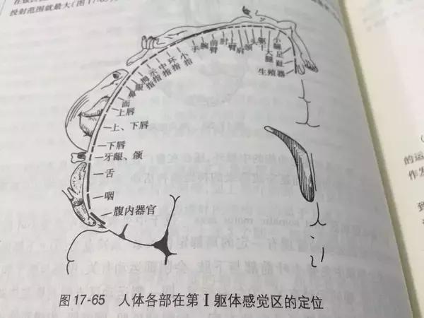 聚焦颈肩腰腿疼,中度疼痛的镇痛方法