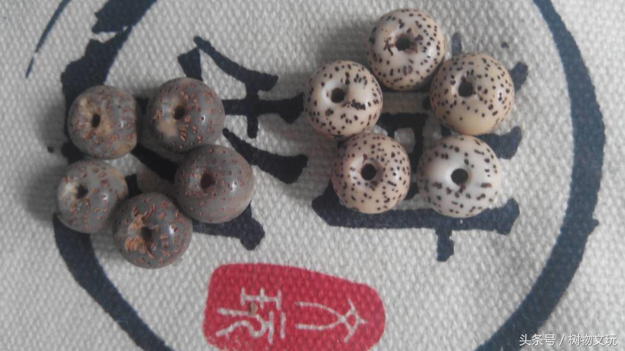 阴皮星月菩提包浆效果图,星月菩提走色的全过程