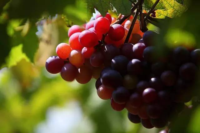 国家对三四线城市有哪些补贴,中央扶持哪三个城市