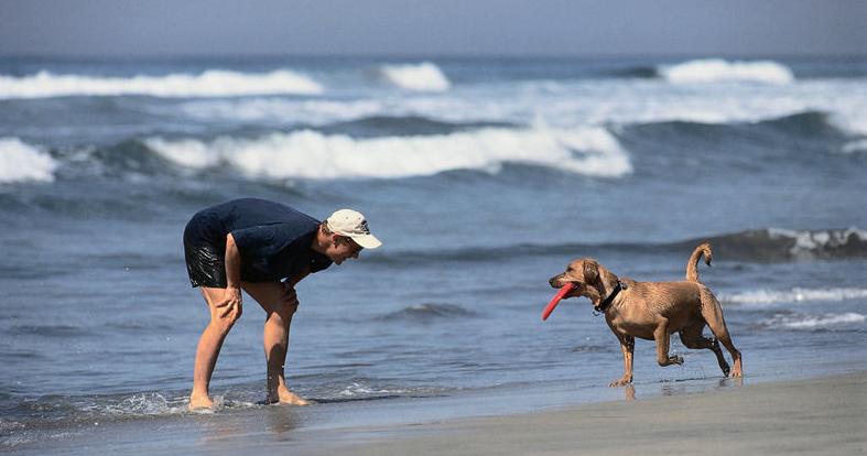 养狗之前请想好,养狗一定要知道的事