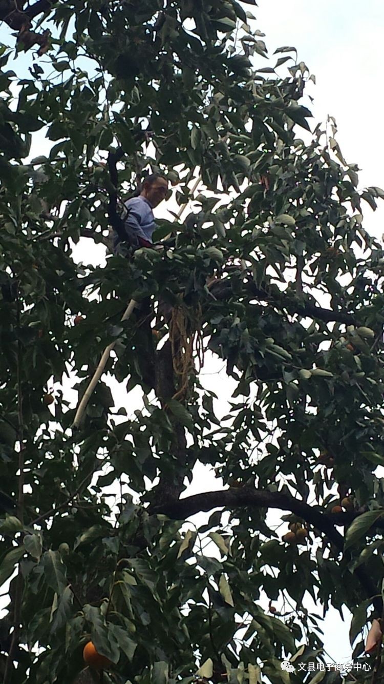 文县贾昌一个“胖子”变”瘦子“的过程