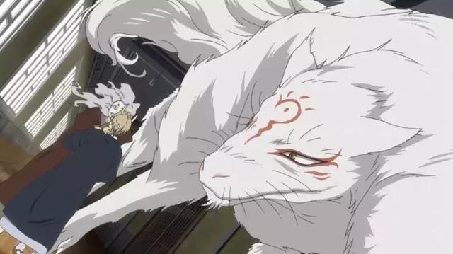 夏目友人帐第五季完结回顾，第六季，明年见！