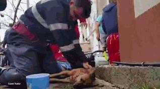 我的头盔百分百回头率！哥就这么自信！