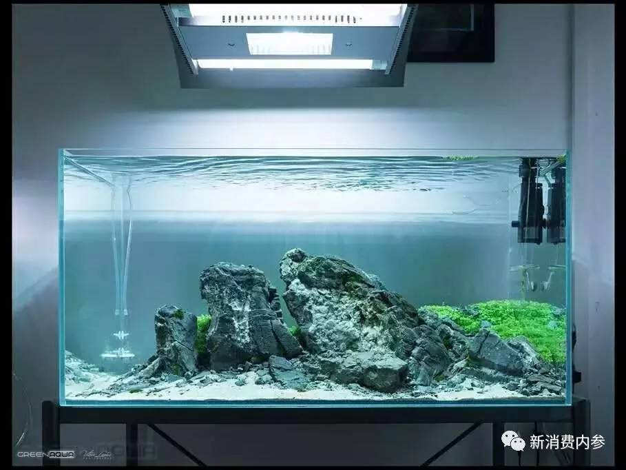 奇溢自然智能鱼缸,奇溢自然鱼缸怎么样