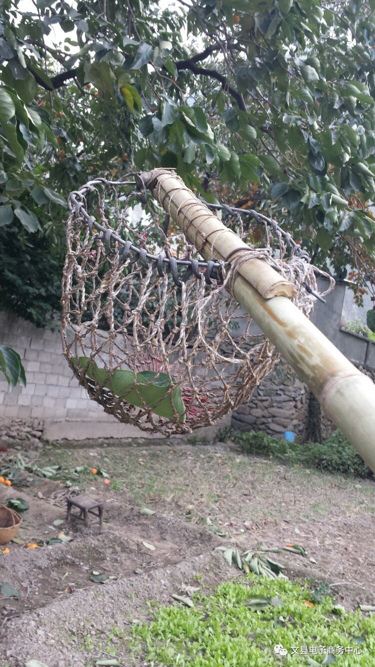 文县贾昌一个“胖子”变”瘦子“的过程