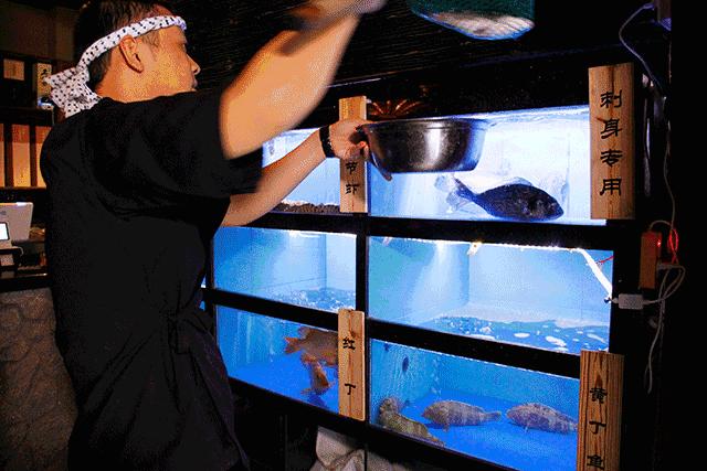 深圳一家低调海鲜店,深圳一家低调的海鲜店