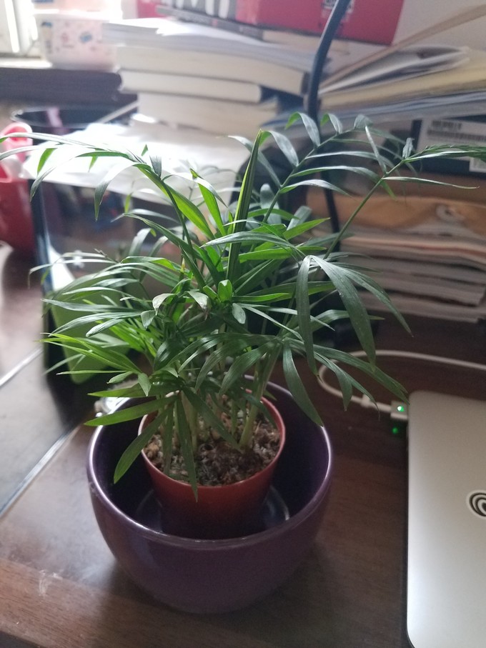 海南三亚雾霾,三亚雾霾