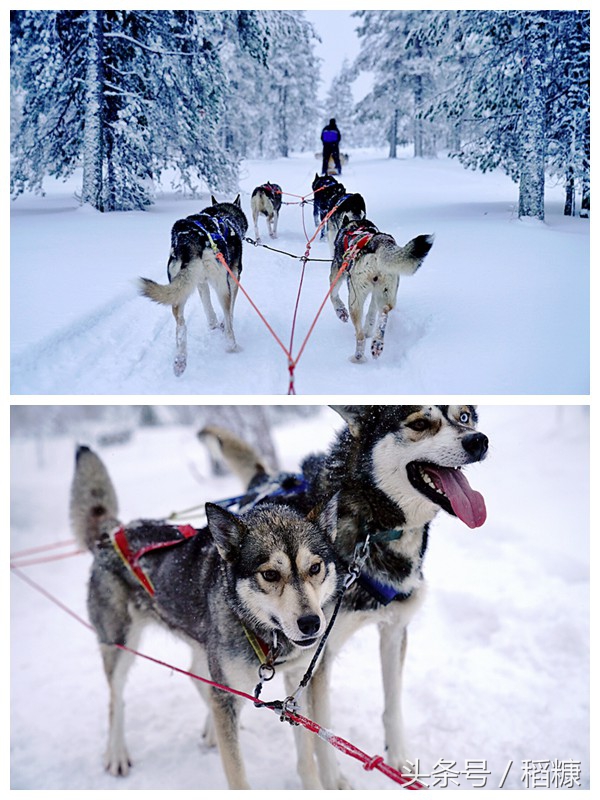 极夜芬兰,极昼和极夜芬兰
