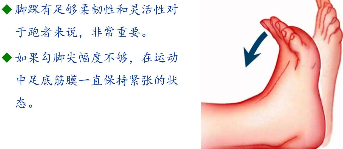 足底筋膜炎康复训练,脚筋膜炎运动康复训练