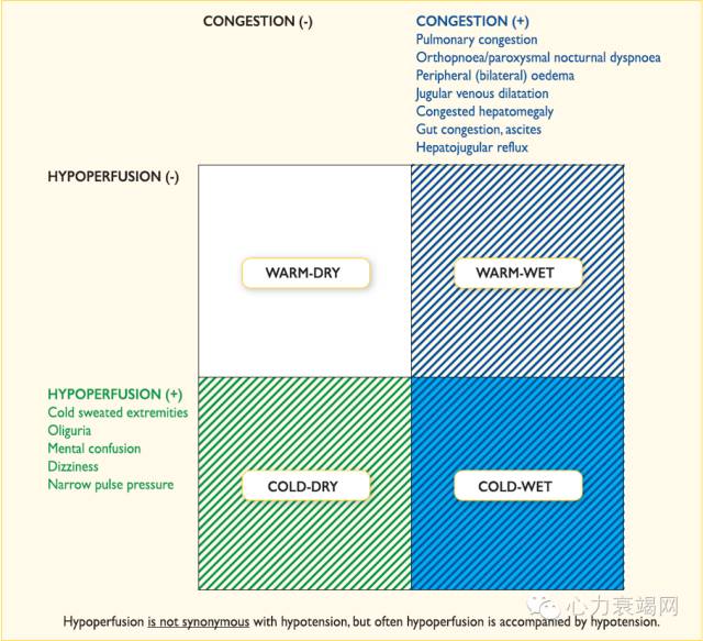 心衰专家张健,中国心衰诊断及治疗指南2018