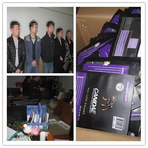 制假售假宠物食品,宁乡假冒食品案
