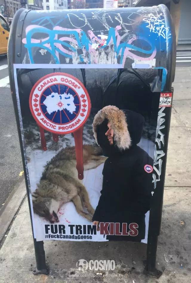 比雪地靴还好的鞋,canadagoose哪款是鹅绒