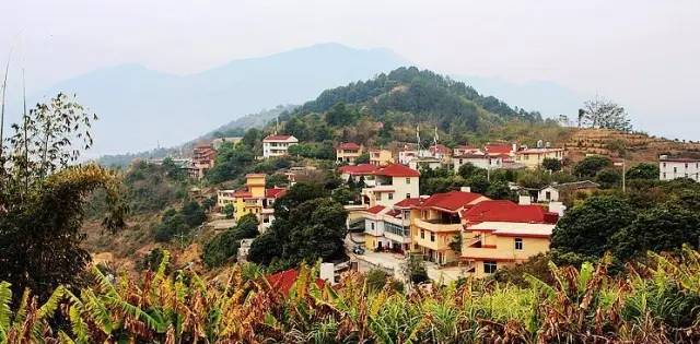 沙埕大白鹭村,福建沙埕镇小白鹭村沙滩