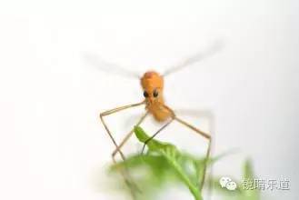 你为什么频繁眨眼,我们为什么经常不由自主的眨眼睛