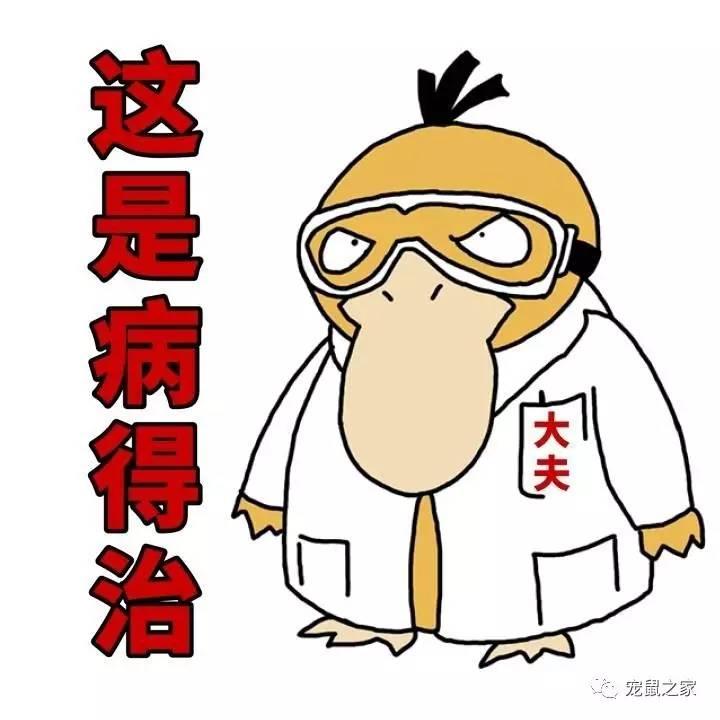 缇庨澶╀笅鍏荤敓澶у笀,缇庨澶╀笅棣欑尓