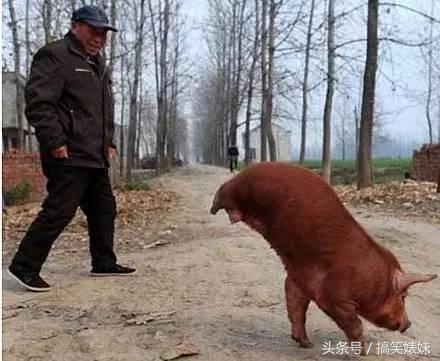 天太晚了，你要不就在这过夜吧