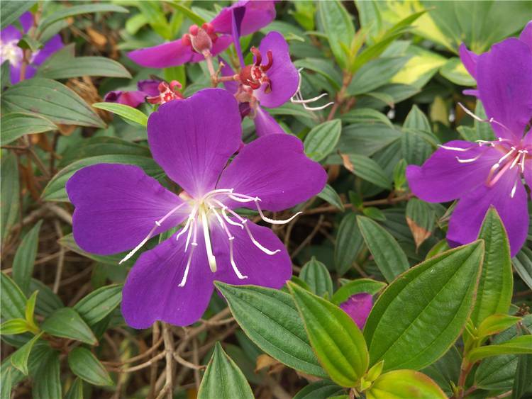 360n4s体验测评,360n4s骁龙版灰色