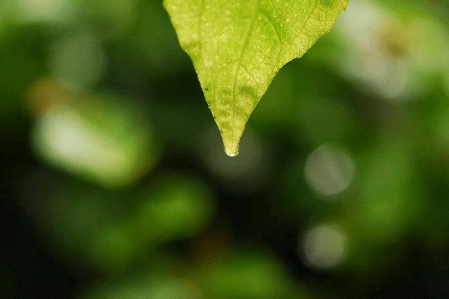 3岁男孩舔了一口，8小时才抢救回来，这东西家家都有！