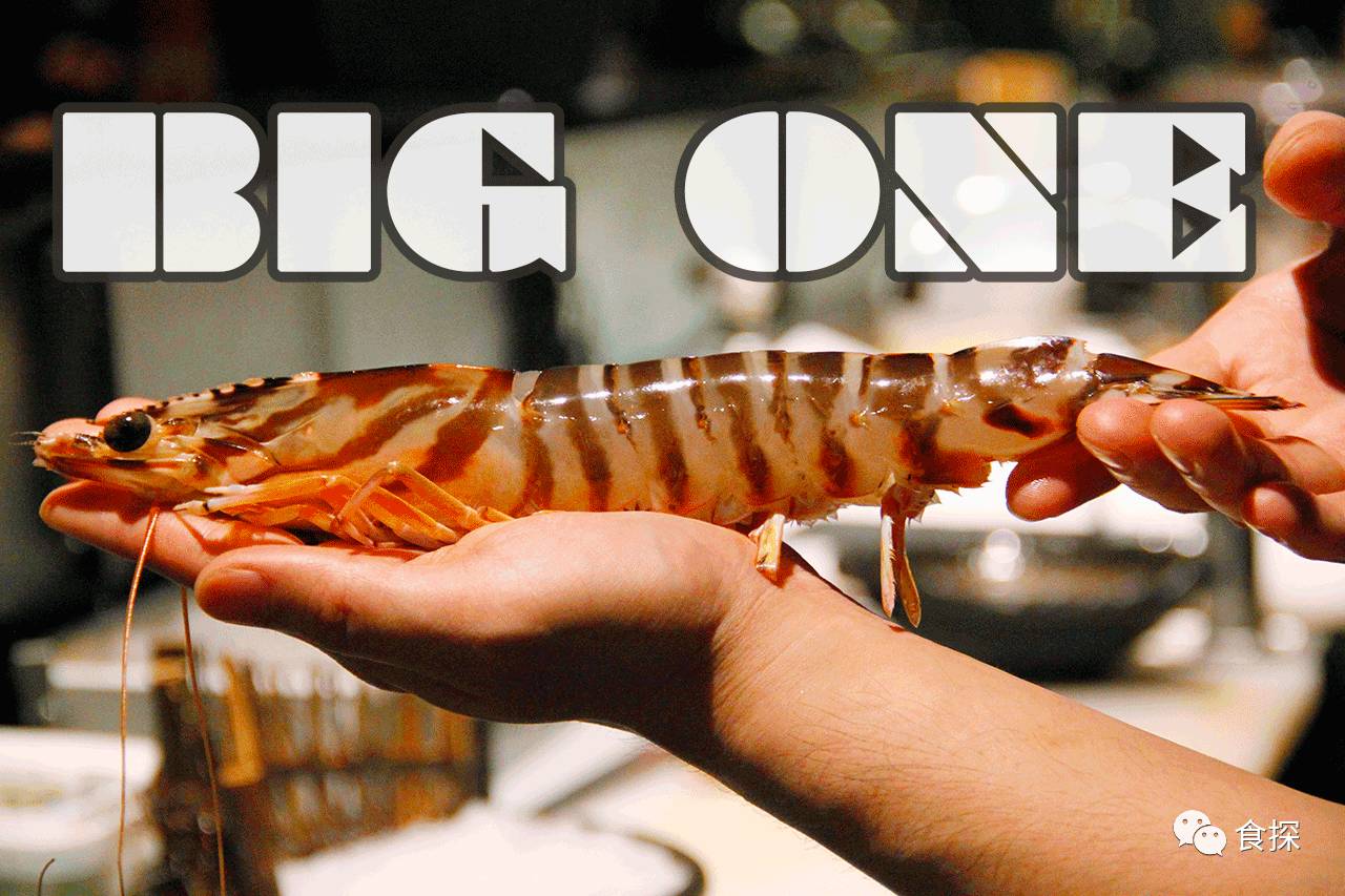 深圳一家低调海鲜店,深圳一家低调的海鲜店