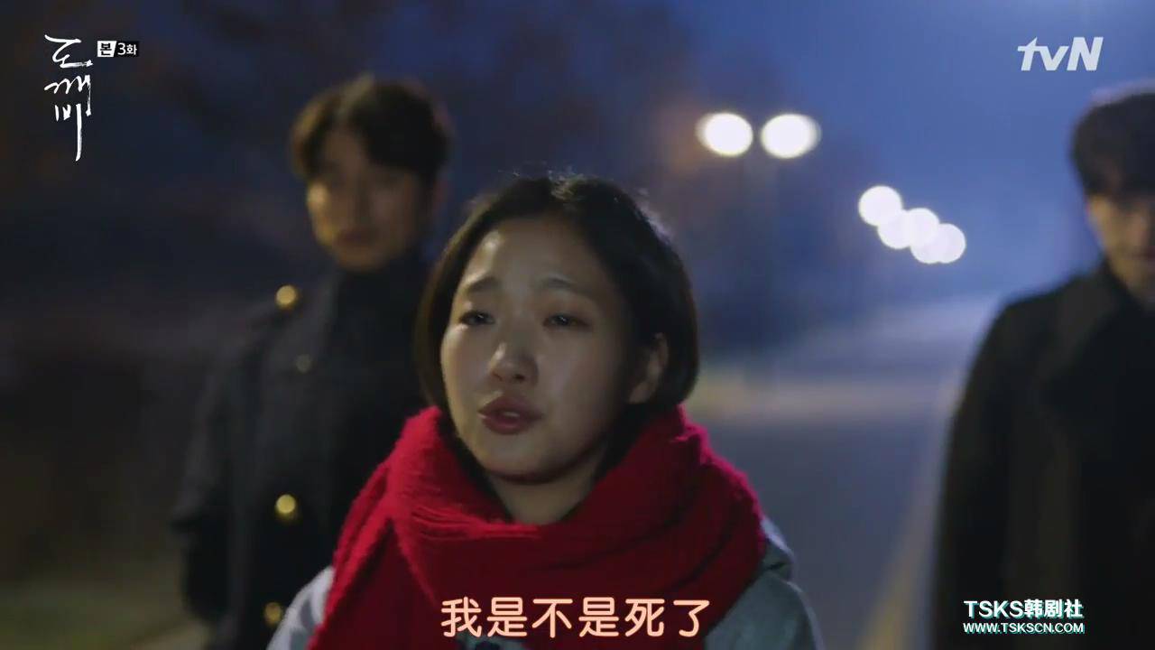 舒淇的韩剧,舒淇电视剧韩国