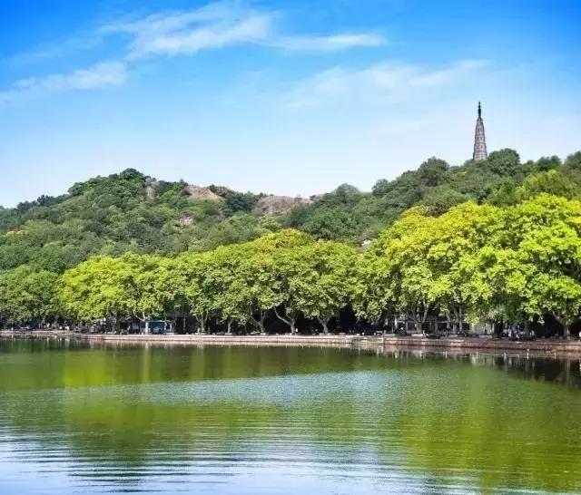 杭州工资收入区间分布,杭州工资查询