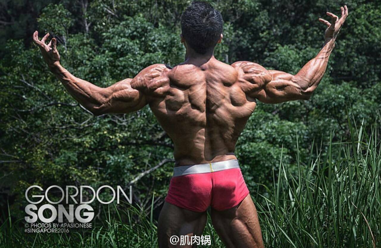 背部最佳增肌训练排行表,背部增肌徒手训练方法