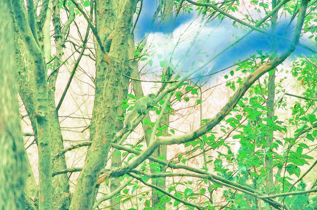 丽水学院校园风光,丽水学院的校园风光