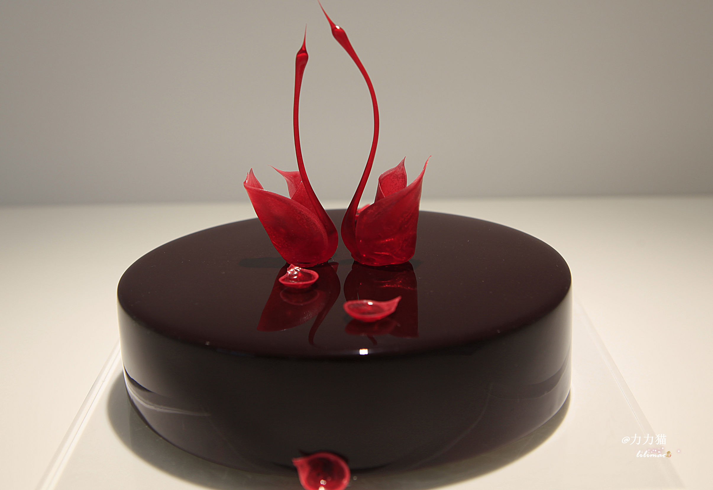 罗红摄影艺术馆蛋糕价格,罗红艺术馆黑天鹅蛋糕