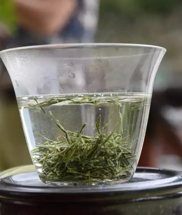 最著名的古丈毛尖茶品牌,中国十大名茶古丈毛尖