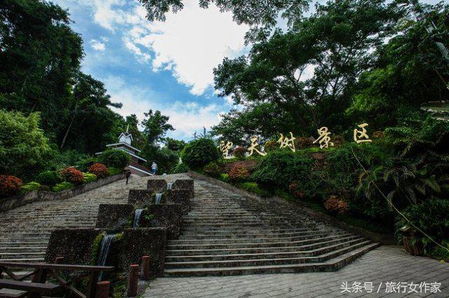 西双版纳避寒城市,冬日西双版纳市区