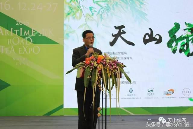 绿茶赏茶表演,福鼎白茶茶艺表演