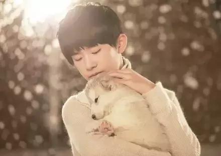 为什么这么多人脱粉tfboys,tfboys为什么这么多人在看