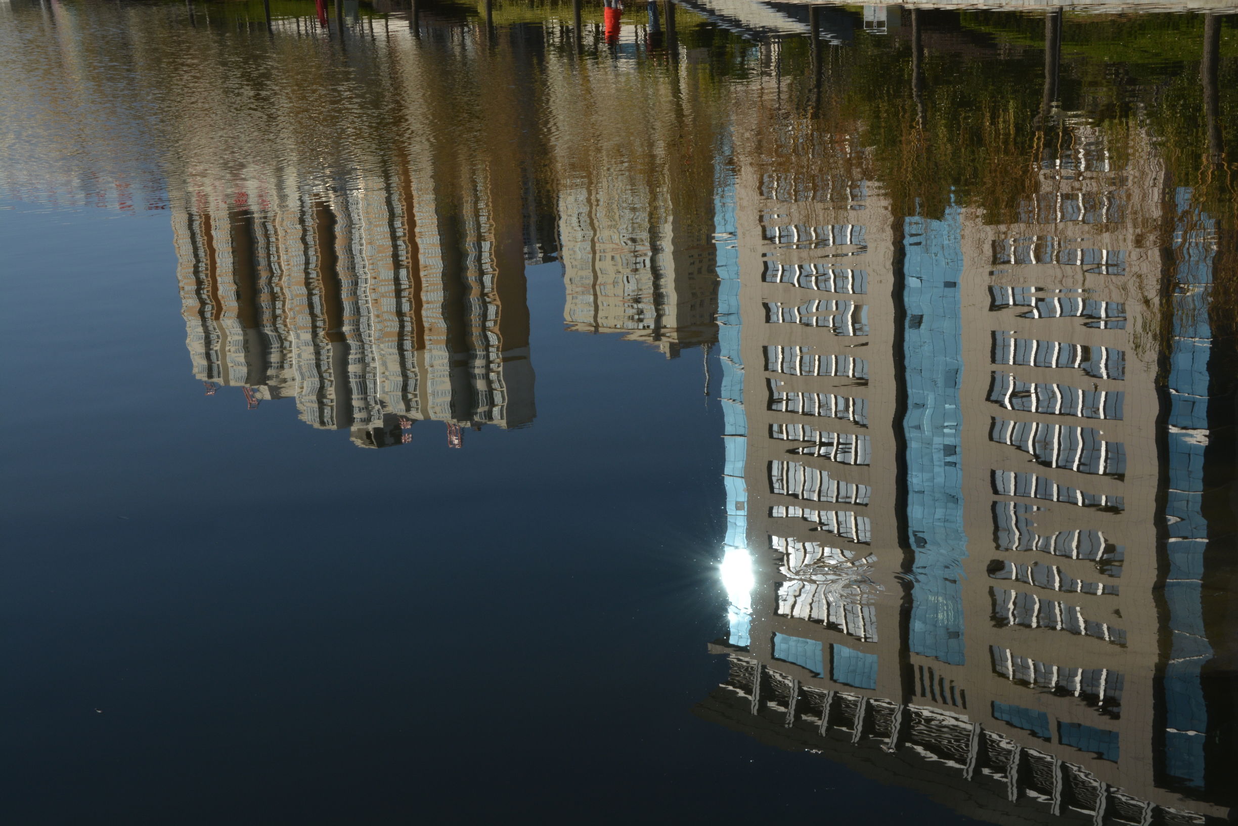 尼康D5200扫街,狗头基本够用