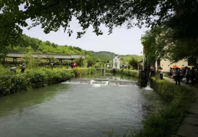 当新西兰的空气叫卖到699元每罐的时候,咱婺源人民不淡定了!