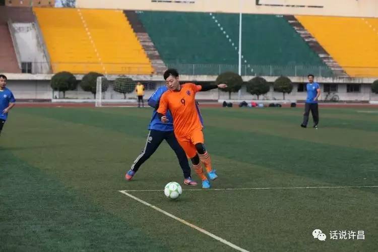 我爱足球话题,为什么说足球是一种信仰