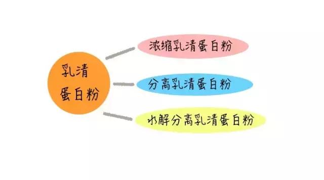 白蛋白粉测评,不甜的蛋白粉测评