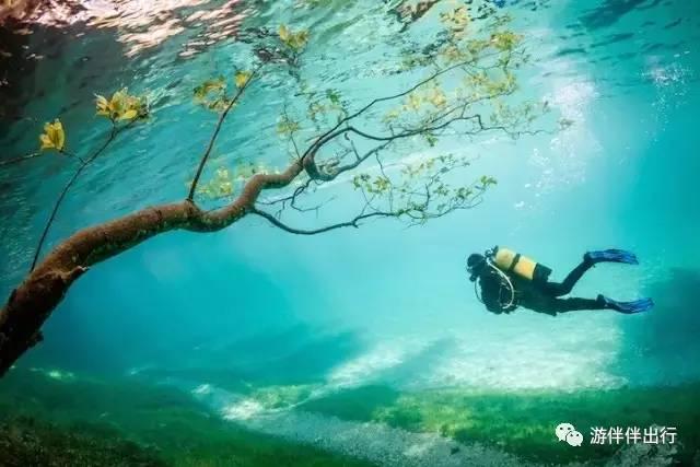 游伴伴|2016年最让人叹为观止的照片!