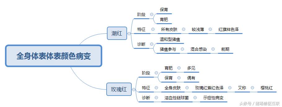 常见疾病面容和表现,100个常见病症图解