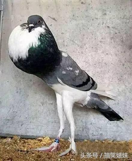 天太晚了，你要不就在这过夜吧