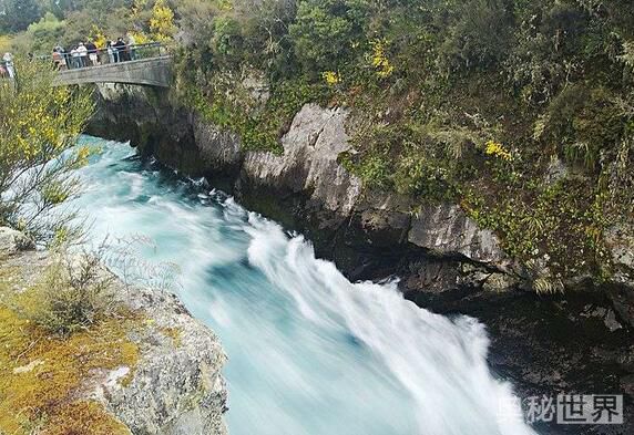 世界上最美的地方,世界上最美的地方是什么样的