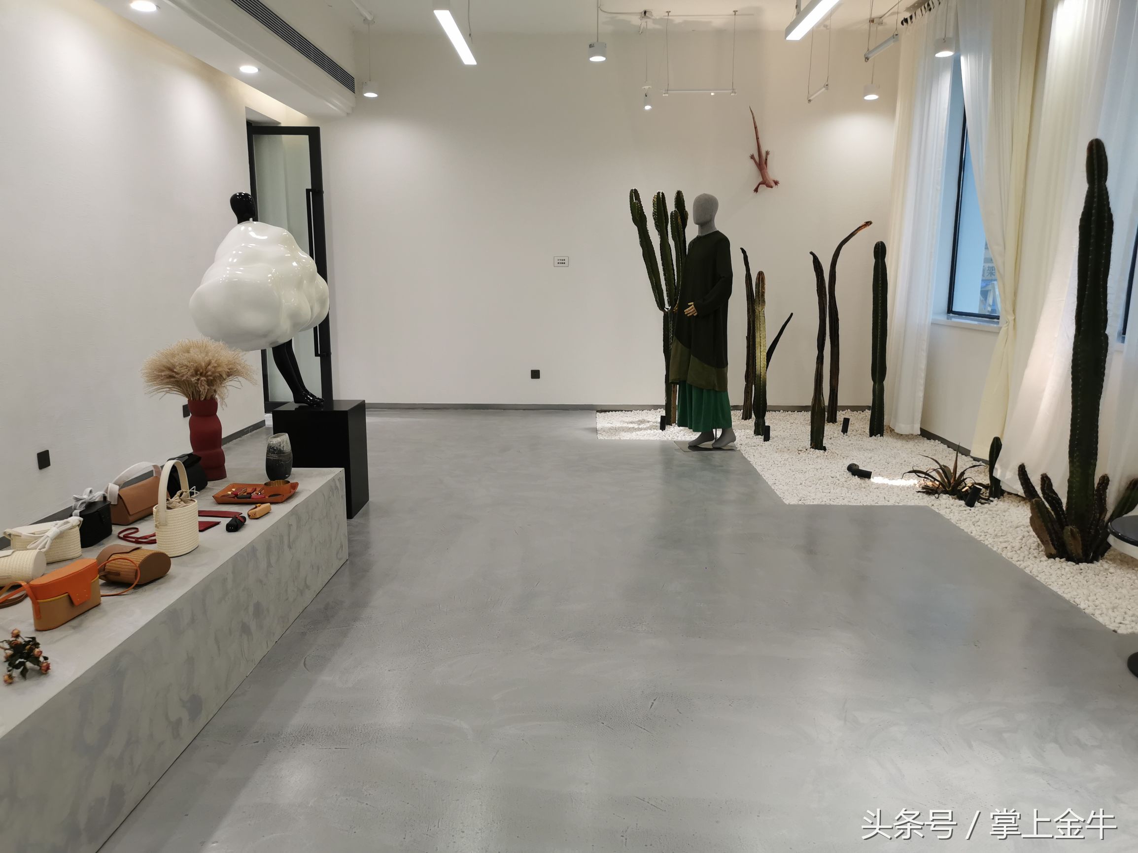 荷花池让人赏心悦目,荷花池的美景令人陶醉