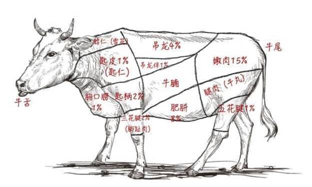 潮汕牛肉火锅三涮,潮汕牛肉火锅正宗潮汕火锅配方