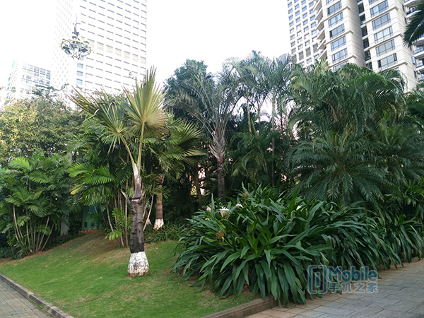 金立m2017最低价,金立m2017标配价格