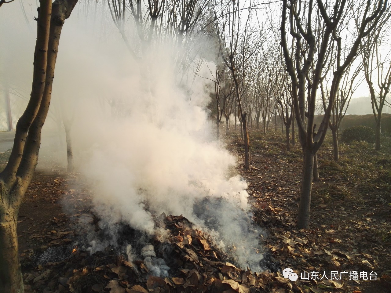 淄博济南雾霾,济南雾霾最严重的地方
