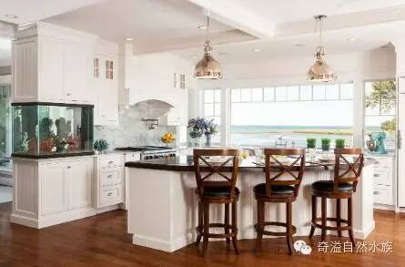 鱼缸摆放位置与属相,鱼缸的摆放位置以及风水影响