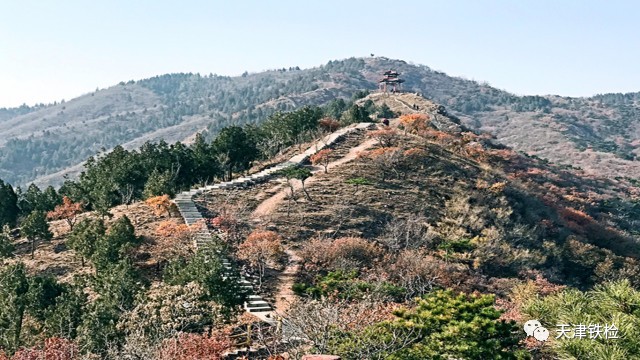 鍜岃皭鑷劧鎽勫奖浣滃搧,鍜岃皭鑷劧鎽勫奖浣滃搧娆h祻