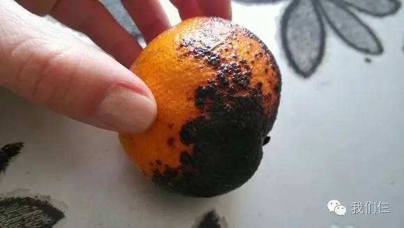 儿童严重咳嗽止咳最快的一招秘方,孩子咳嗽止咳最快的一招秘方