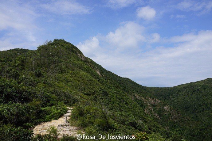 边吃边走的美食推荐,香港5日美食之旅搜罗各种美食