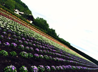 人在美途民族风旅拍,人在美途